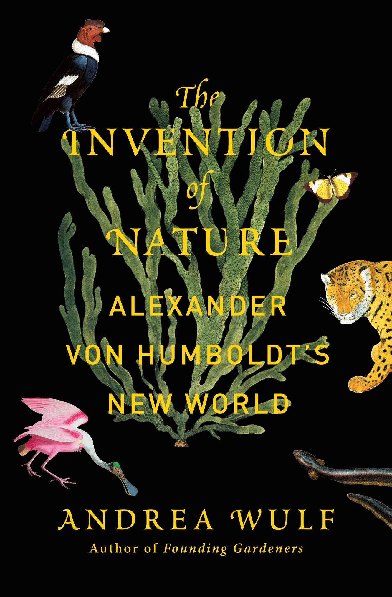 The Invention Of Nature
