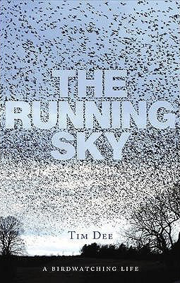 the running sky
